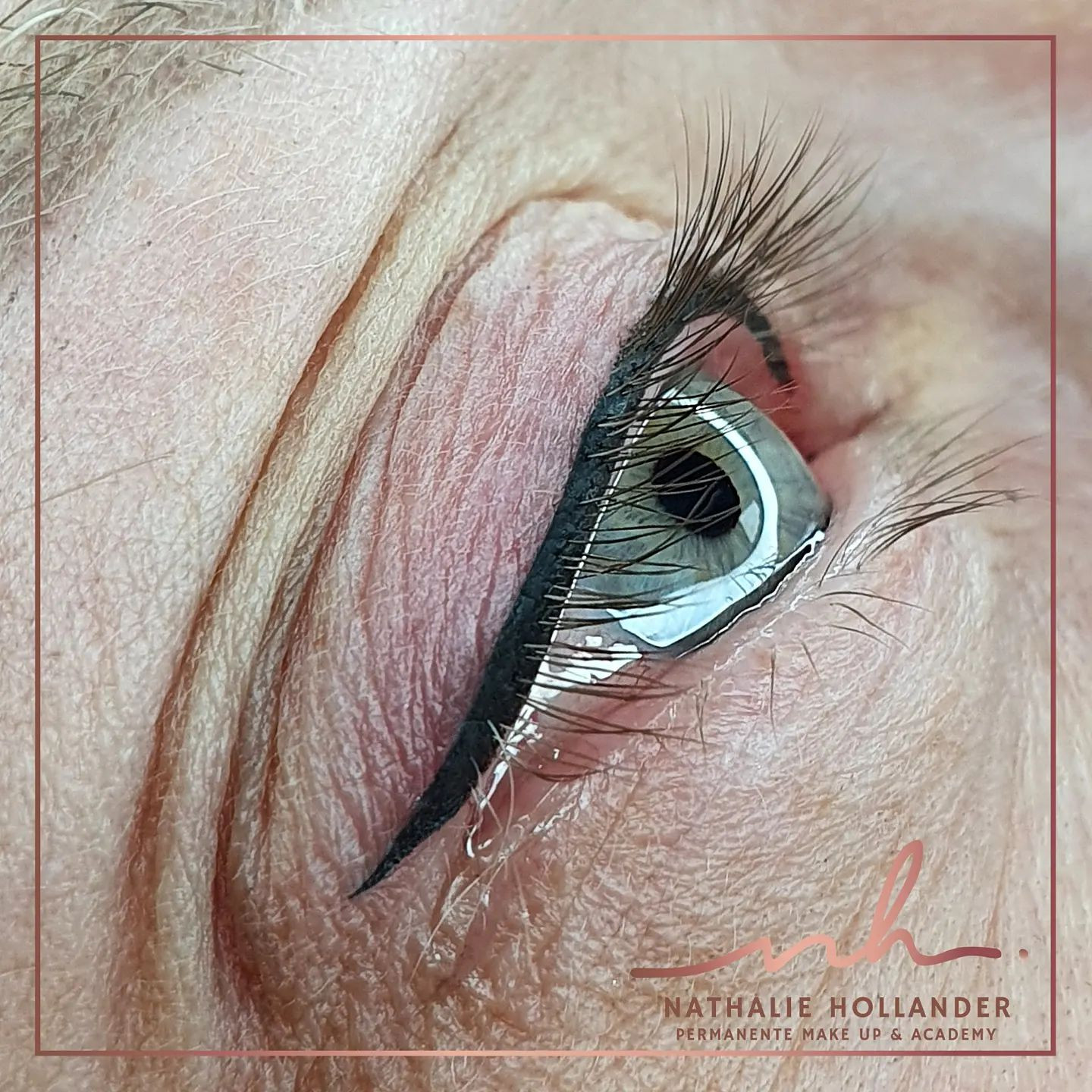 photo - Nathalie Hollander Permanente Make-up en opleidingen